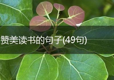 赞美读书的句子(49句)