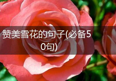 赞美雪花的句子(必备50句)