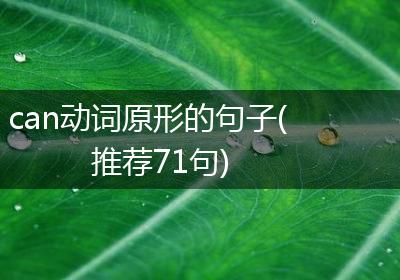 can动词原形的句子(推荐71句)