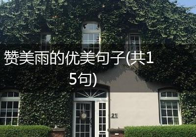 赞美雨的优美句子(共15句)