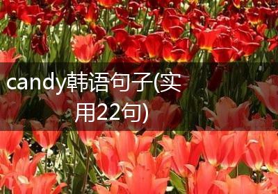 candy韩语句子(实用22句)
