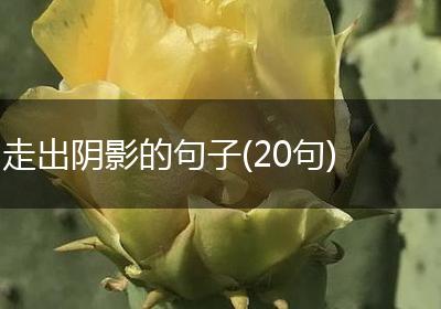 走出阴影的句子(20句)