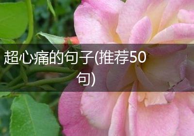 超心痛的句子(推荐50句)