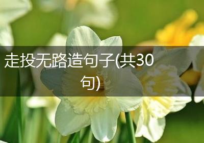 走投无路造句子(共30句)