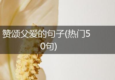 赞颂父爱的句子(热门50句)