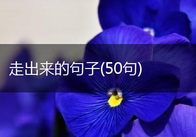走出来的句子(50句)