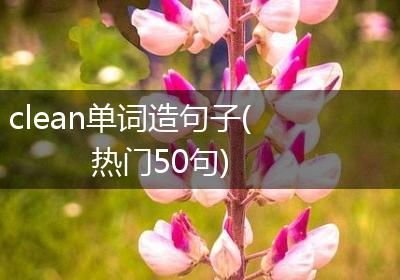 clean单词造句子(热门50句)