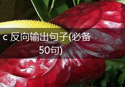 c 反向输出句子(必备50句)