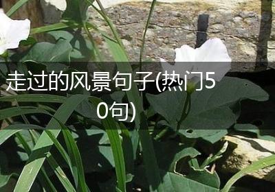 走过的风景句子(热门50句)