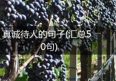 真诚待人的句子(汇总50句)