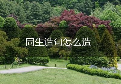同生造句怎么造