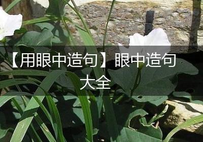【用眼中造句】眼中造句大全