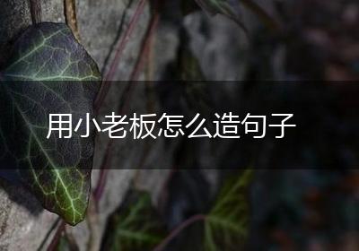 用小老板怎么造句子