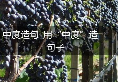 中度造句_用“中度”造句子