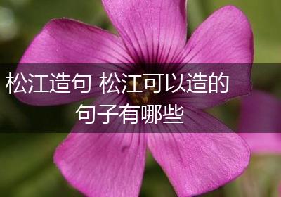 松江造句 松江可以造的句子有哪些