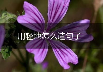 用轻地怎么造句子