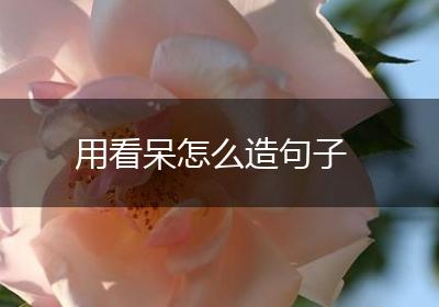 用看呆怎么造句子