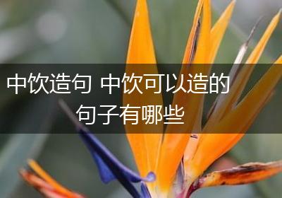 中饮造句 中饮可以造的句子有哪些
