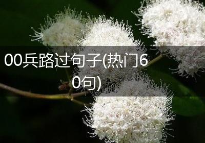 00兵路过句子(热门60句)