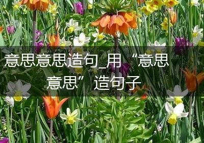 意思意思造句_用“意思意思”造句子