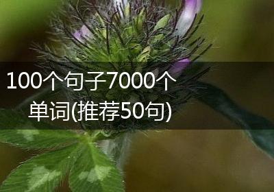 100个句子7000个单词(推荐50句)
