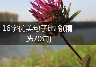 16字优美句子比喻(精选70句)