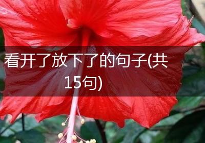 看开了放下了的句子(共15句)
