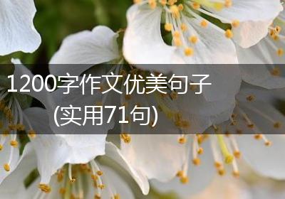 1200字作文优美句子(实用71句)