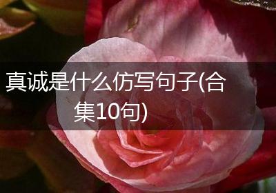 真诚是什么仿写句子(合集10句)