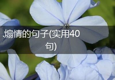 .煽情的句子(实用40句)