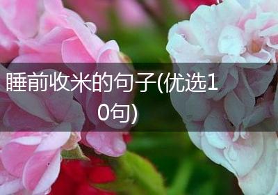 睡前收米的句子(优选10句)