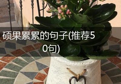 硕果累累的句子(推荐50句)