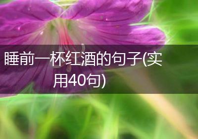 睡前一杯红酒的句子(实用40句)