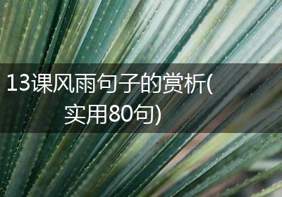 13课风雨句子的赏析(实用80句)
