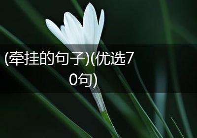 (牵挂的句子)(优选70句)