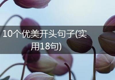 10个优美开头句子(实用18句)
