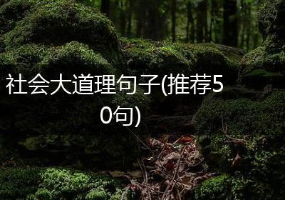 社会大道理句子(推荐50句)