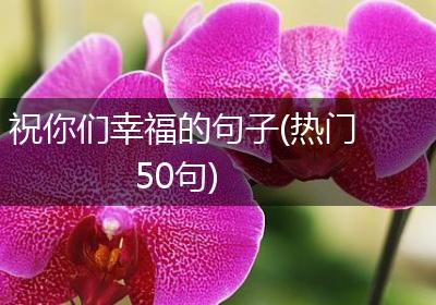 祝你们幸福的句子(热门50句)