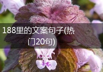 188里的文案句子(热门20句)