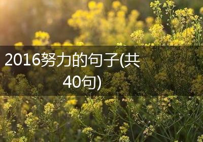 2016努力的句子(共40句)