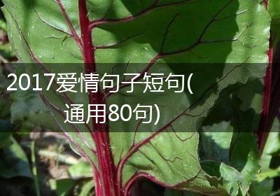 2017爱情句子短句(通用80句)