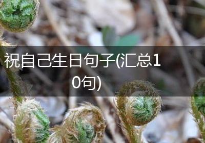 祝自己生日句子(汇总10句)
