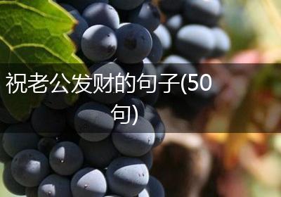 祝老公发财的句子(50句)