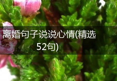 离婚句子说说心情(精选52句)