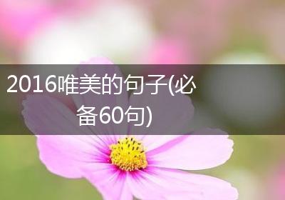 2016唯美的句子(必备60句)