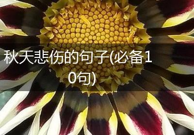 秋天悲伤的句子(必备10句)