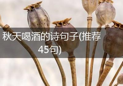秋天喝酒的诗句子(推荐45句)