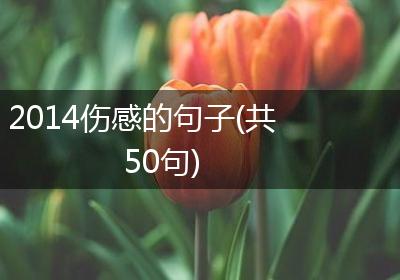 2014伤感的句子(共50句)