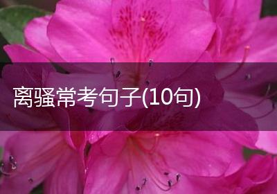 离骚常考句子(10句)