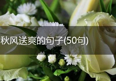 秋风送爽的句子(50句)